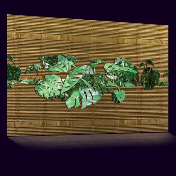 philodendrons