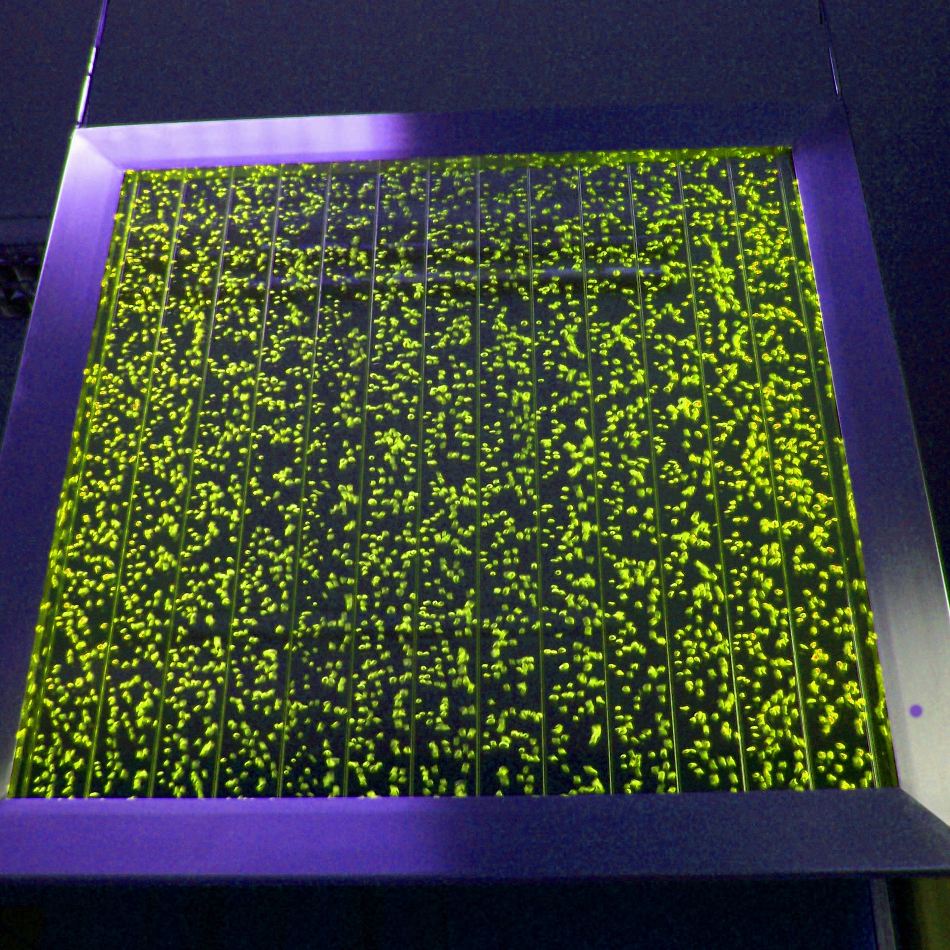 Mur de bulles suspendu 1000